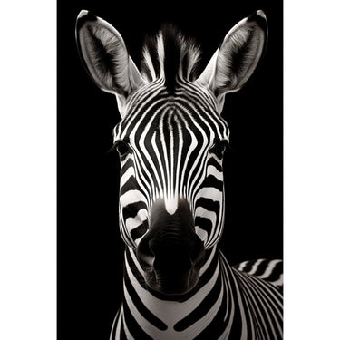 Zebra Head Canvas